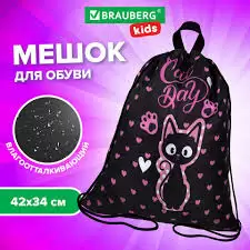 Мешок для обуви BRAUBERG KIDS с петлей 42х34 см Amazed cat